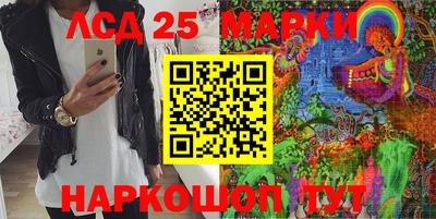крисы Кандалакша