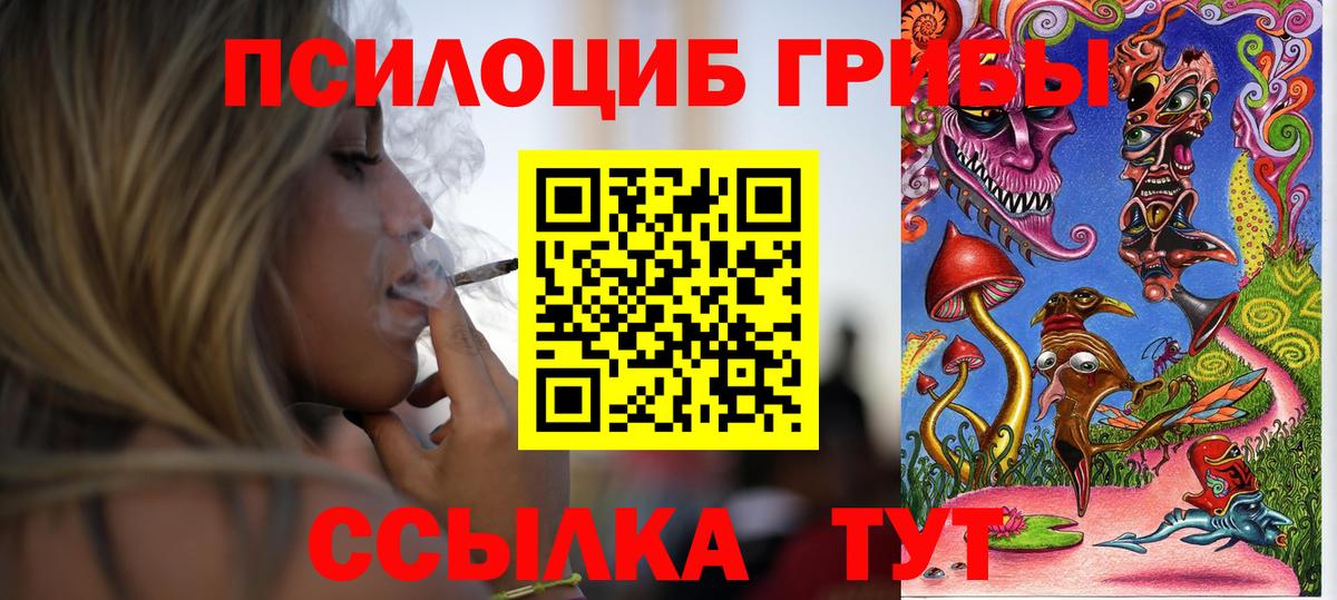 Псилоцибиновые грибы Psilocybine cubensis Лениногорск