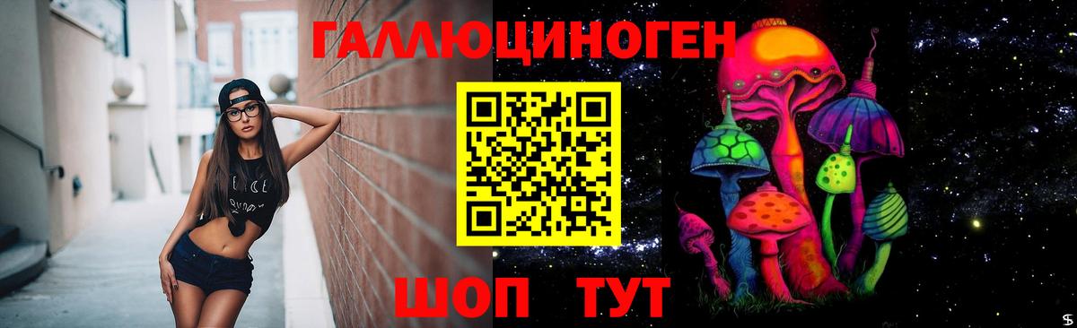 Лениногорск  Галлюциногенные грибы Cubensis  Вход с VPN 